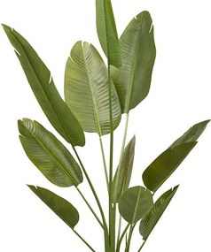 Изкуствено растение atmosphera Lora Banana, 200 cm