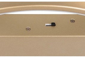 LED затъмняващо се осветително тяло за таван златно 49x64 cm Darvin – Trio