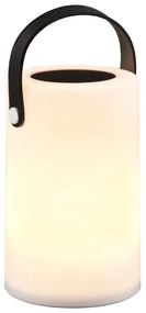 LED външно осветително тяло със соларен панел (височина 21 cm) Garcia – Trio