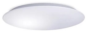 LED Плафониера AVESTA LED/45W/230V IP54