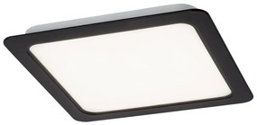 Rabalux 2684 - LED Лампа за окачен таван SHAUN LED/17W/230V 17 см