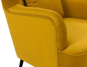 Фотьойл Manidi-Prasino