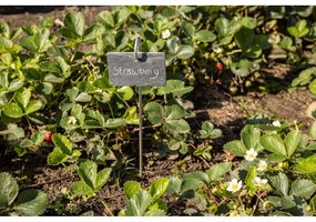 Шистова маса на пръчка - Esschert Design