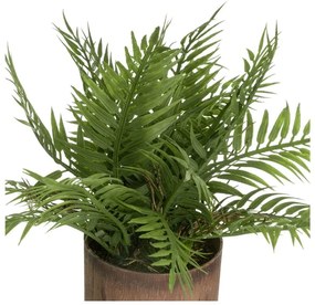 Изкуствени растения в комплект от 2 бр. (височина 22 cm) – Casa Selección