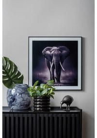 Картина 50x50 cm Elephant - PT LIVING