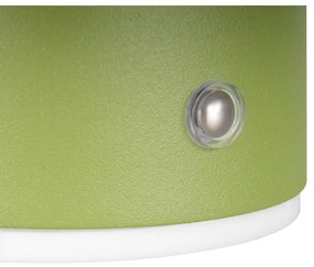 Зелена LED стенна лампа с USB Davey – Trio