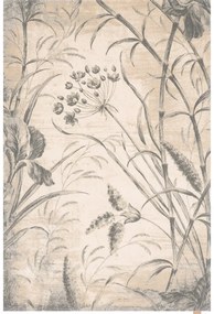 Кремав вълнен килим 300x400 cm Botany – Agnella