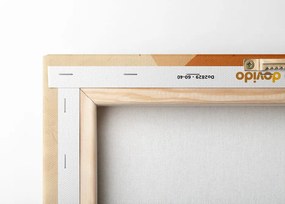 Картина на платно – Кръгове и линии Peach Fuzz