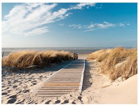 тапет - плаж Северно море, Langeoog 350x270