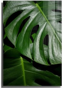 Живопис върху стъкло 70x100 cm Monstera - Wallity