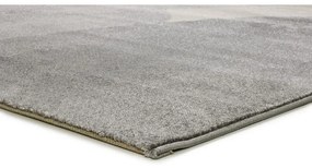 Сив килим 140x200 cm Monic – Universal