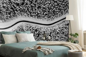 Самозалепващ фототапет – Изглед към зимен черно-бял пейзаж