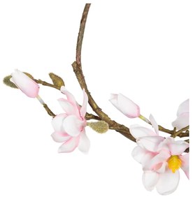 Венец Magnolia – Ixia