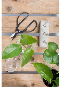 Стъклена ваза (височина 12 cm) Natural History – Esschert Design