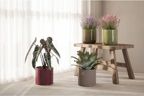 Керамично ръчно изработено покритие за кашпа ø 18 cm Fortuna – Artevasi