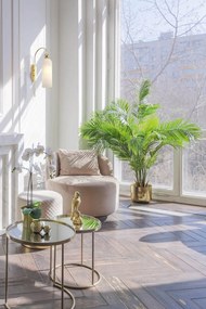 Стенна лампа Maytoni Antic-Leuko