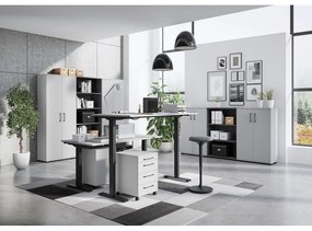 Работна маса с електрическо регулиране на височината 80x160 cm Agenda – Germania