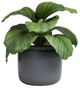 Керамична ръчно изработена саксия за цветя ø 20 cm Astrea – Artevasi