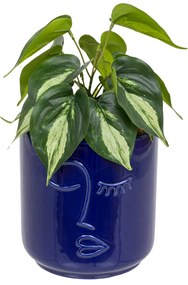 Изкуствено растение atmosphera Soleya, 30 cm