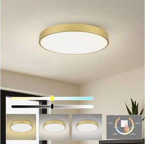Brilagi - LED таванно осветително тяло POOL LED/100W/230V 3000/4500/6000K Ø 80 см златно