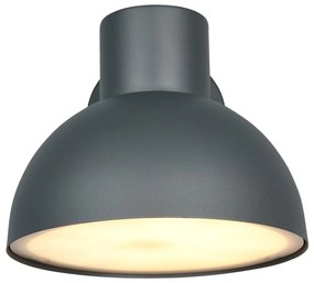 Стенно външно осветително тяло (височина 18,5 cm) Elbe – Trio