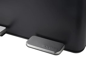 Матово черно стоманено кошче за боклук 2x20 l за рециклиране с педал Aliya – Spirella