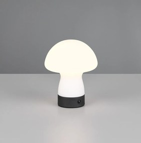 LED настолна лампа в матово бял цвят със стъклен абажур (височина 18 cm) Dooley – Reality