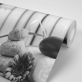 Фототапет – Черно-бяло уелнес натюрморт
