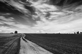 Фототапет – Черно-бял магичен пейзаж