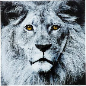 Арт.35849 Картина Glass Face Lion 80x80cm