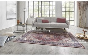 Червен и лилав килим , 120 x 160 cm Anthea - Nouristan