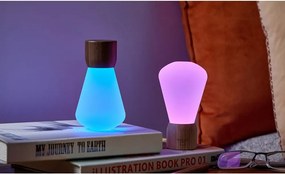 Настолна лампа с възможност за затъмняване в естествен цвят (височина 13 см) Pentagon - Gingko