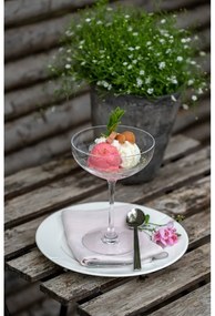 Чаши за пенливо вино в комплект от 2 броя 390 ml Premium - Rosendahl