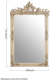 Стенно огледало 76x125 cm Gilda - Premier Housewares