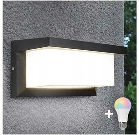 Димируемо LED RGBW външно стенно осветително тяло NEELY 1xE27/9W/230V IP54 антрацит