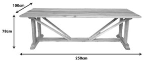 Маса 250x100 - 338-000002 натурал