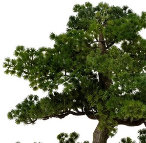 Изкуствено растение atmosphera Bonsai Polin, 86см