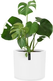 Blumfeldt Gendt, саксия, фибърстоун, интериор/екстериор