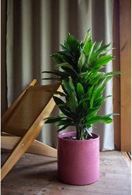 Керамично ръчно изработено покритие за кашпа ø 18 cm Fortuna – Artevasi