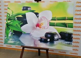 Картина на платно – Японска орхидея