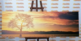Картина на платно – Самотно дърво
