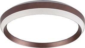 Rabalux - Резервна част за таванно осветително тяло FONTANA