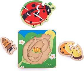 Bigjigs - Многослоен пъзел на жизнения цикъл - Калинка