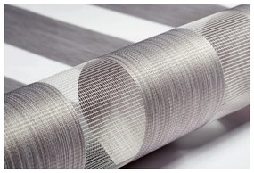 Кафяво-сива ролетна щора ден и нощ 97x150 cm Zebra Silvalin – Gardinia