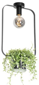 Модерна таванна лампа черна със стъкло правоъгълна - Roslini