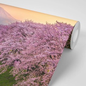 Фототапет – Прекрасна Япония