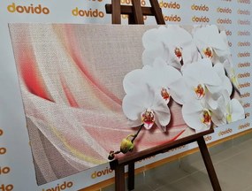 Картина на платно – Бяла орхидея на платно