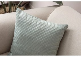 Калъфки за възглавници от рипсено кадифе в комплект от 2 бр. 43x43 cm – Mioli Decor