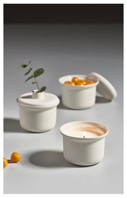 Ароматна соева свещ с време на горене 35 h Inu Offwhite: Calm Moment - Zone