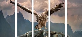 картини от 5 части – Орел с разперени крила над планините